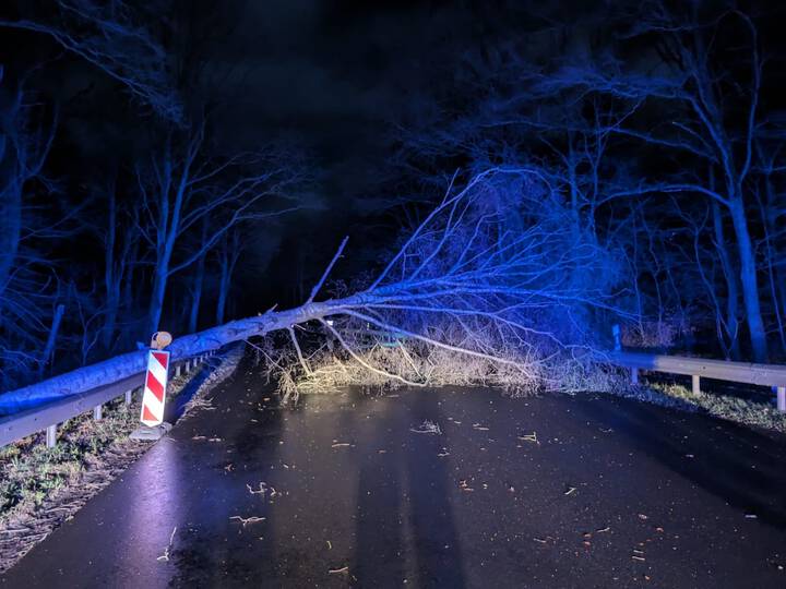 Baum auf Straße - Bundesstraße blockiert